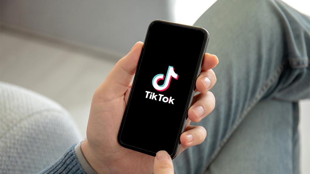 TikTok Creator screenshot 2