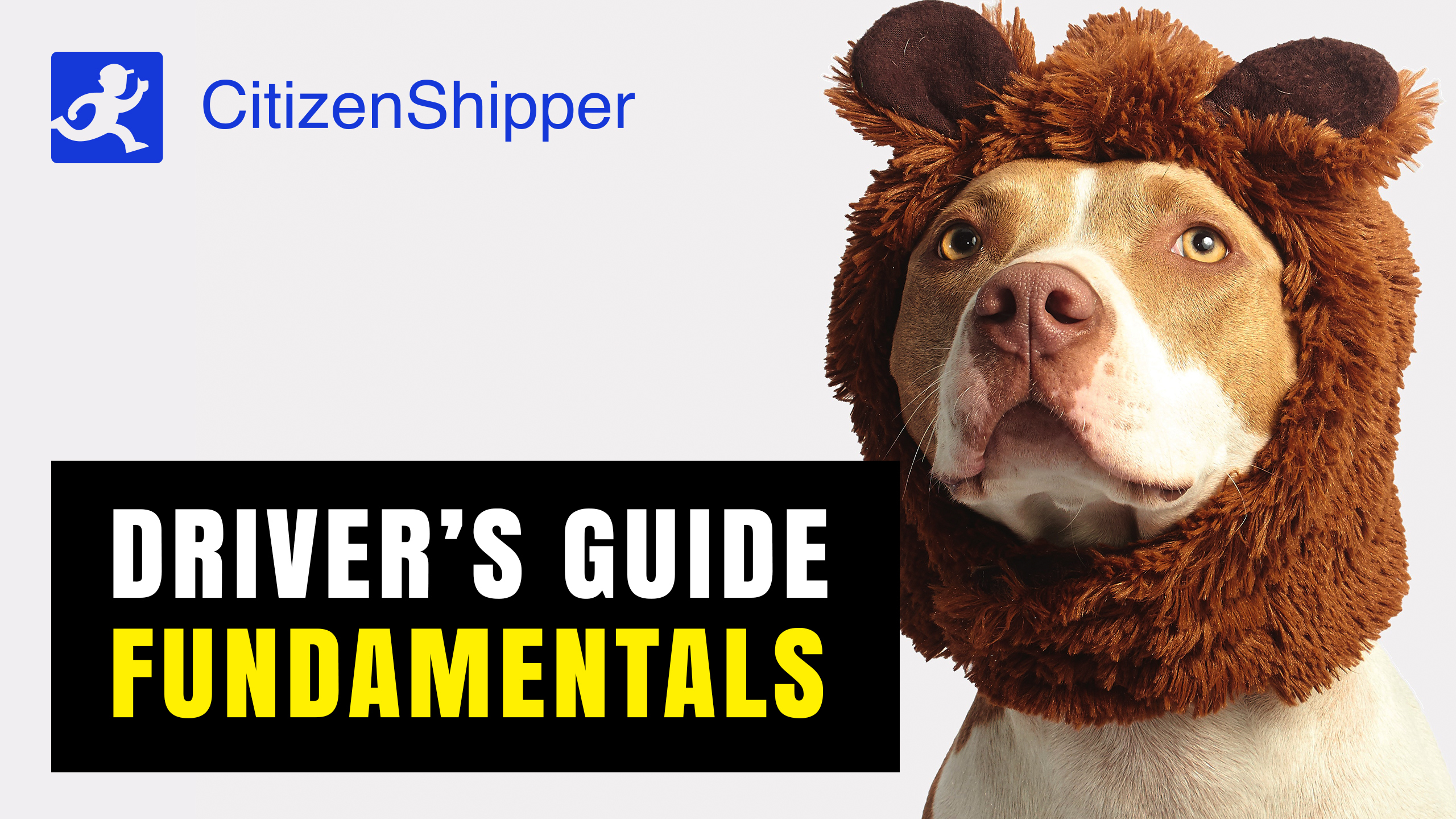 CitizenShipper screenshot 1